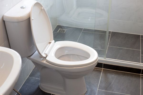 Cost of Toilet Replacement in Burlington