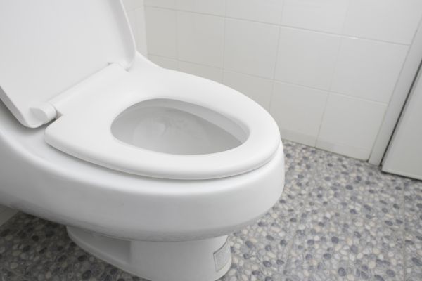 Cost of New Toilet Installation in Burlington